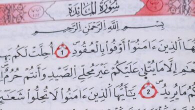 تفسير سورة المائدة في المنام