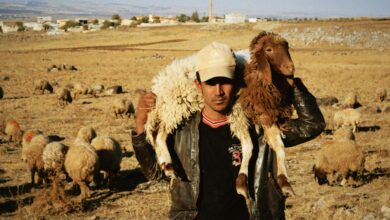 العيد في المنام